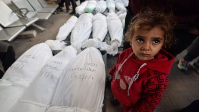 جنگ غزه/ شمار قربانیان به ۳۳ هزار و ۷۹۷ نفر رسید