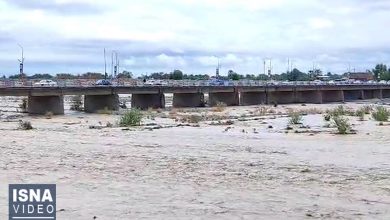 ویدیو/جاری شدن رودخانه‌های فصلی و دائمی شهرستان جیرفت