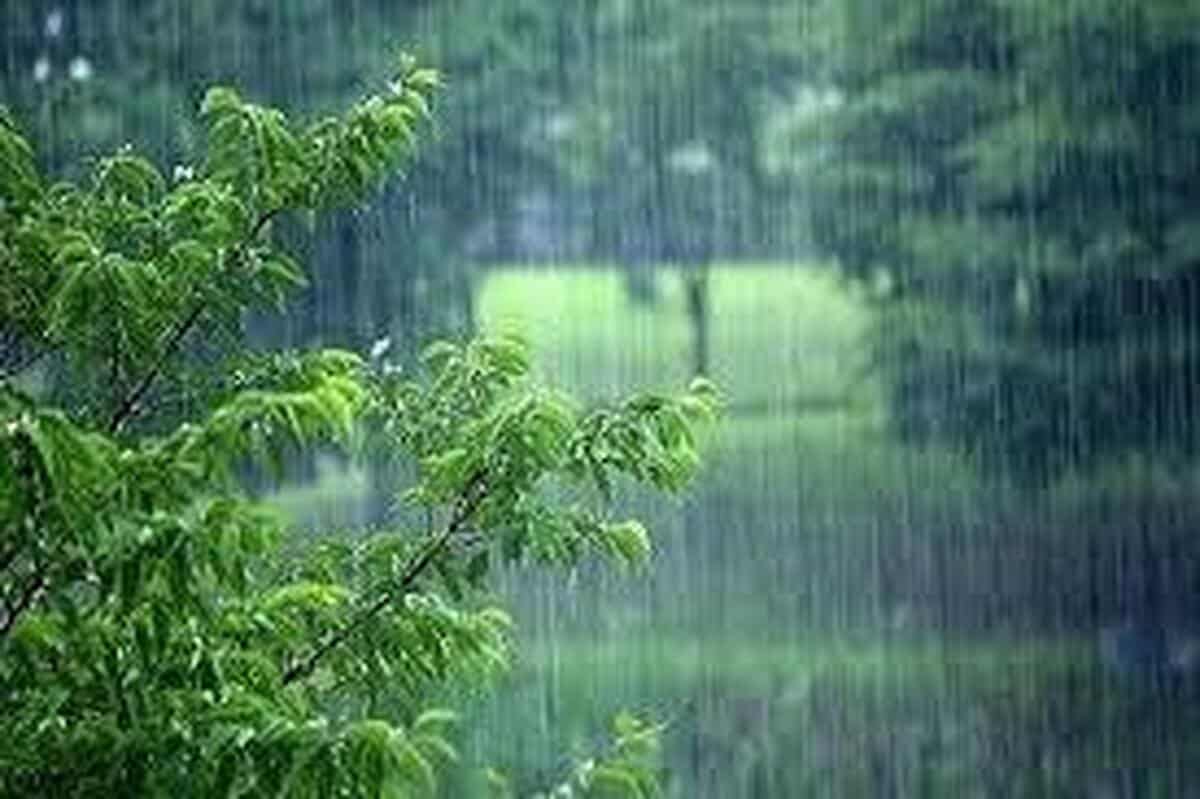 هواشناسی ۱۴۰۴/۱/۲؛ تداوم بارش‌ها تا روز دوشنبه