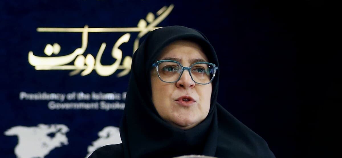 پاسخ مهاجرانی به ادعای نقش دولت در نوسانات ارزی