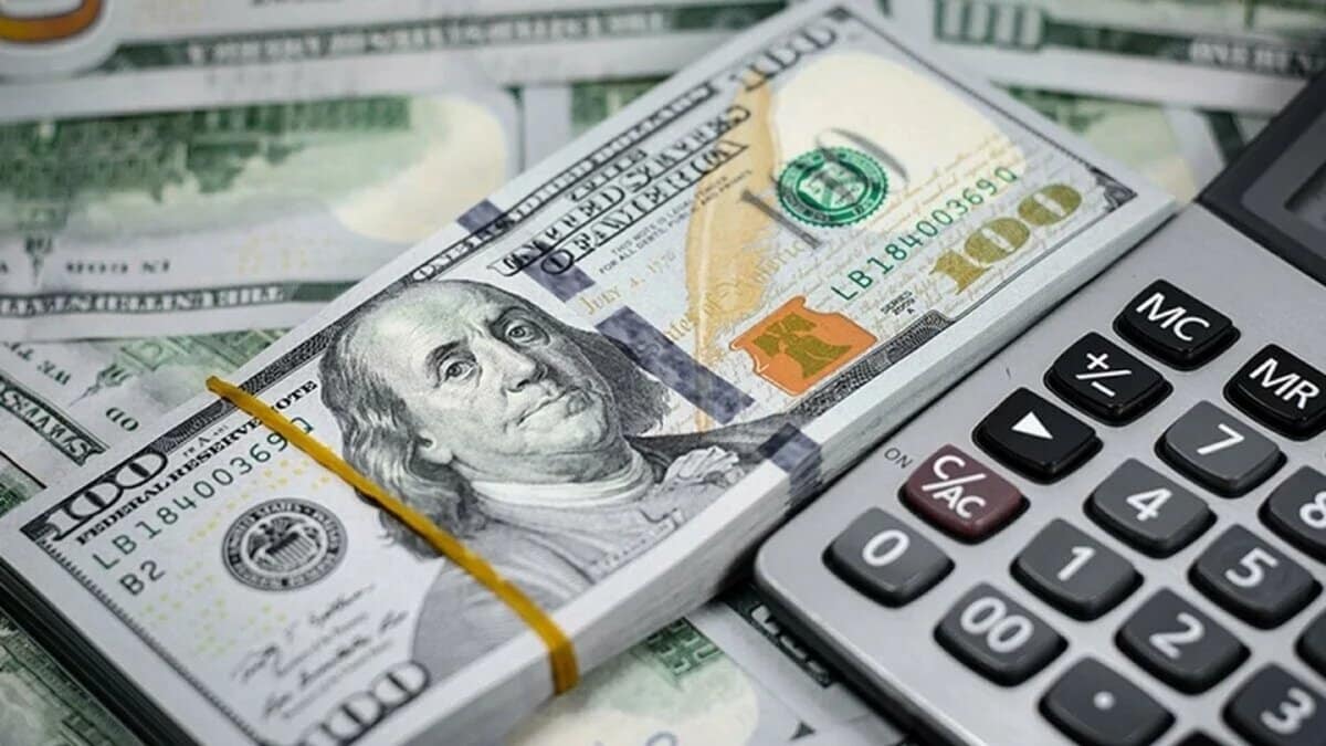 قیمت جدید دلار، یورو و سایر ارزها ۸ مهر ۱۴۰۴/ دلار باز هم اوج گرفت