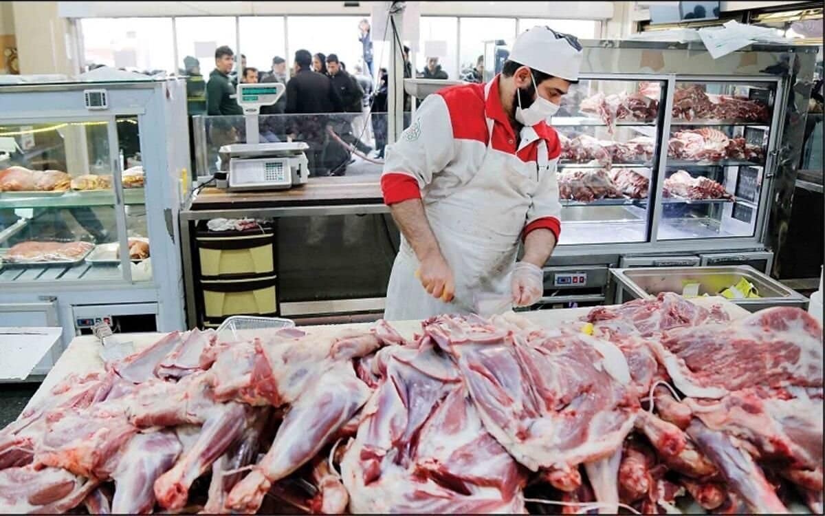 گوشت ارزان به بازار آمد/ با کمتر از ۶۰۰ هزار تومان از فردا گوشت بخرید