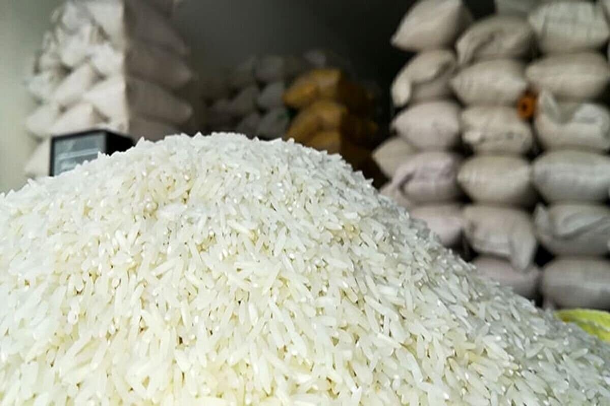 بحران بازار برنج از کجا نشأت می‌گیرد؟/600 هزار تن برنج پشت دیوار بوروکراسی/ نیاز سالانه کشور چقدر است؟