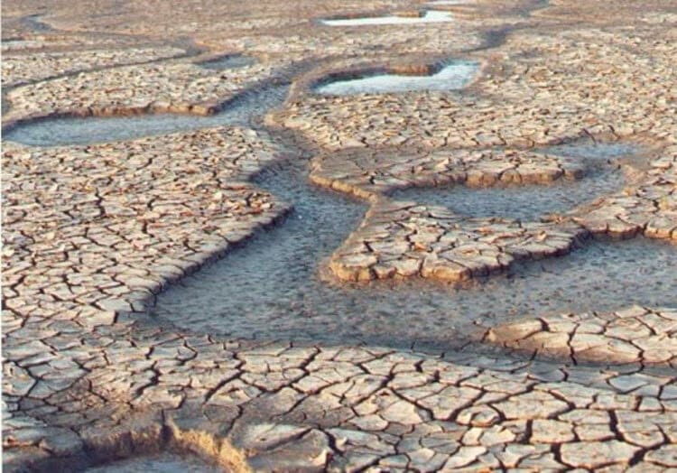 باران تا ۱۵ آذر نبارد، تهران تخلیه می شود؟/ توضیحات مهم مدیرعامل آبفای تهران درباره شرایط سدهای تهران را بخوانید