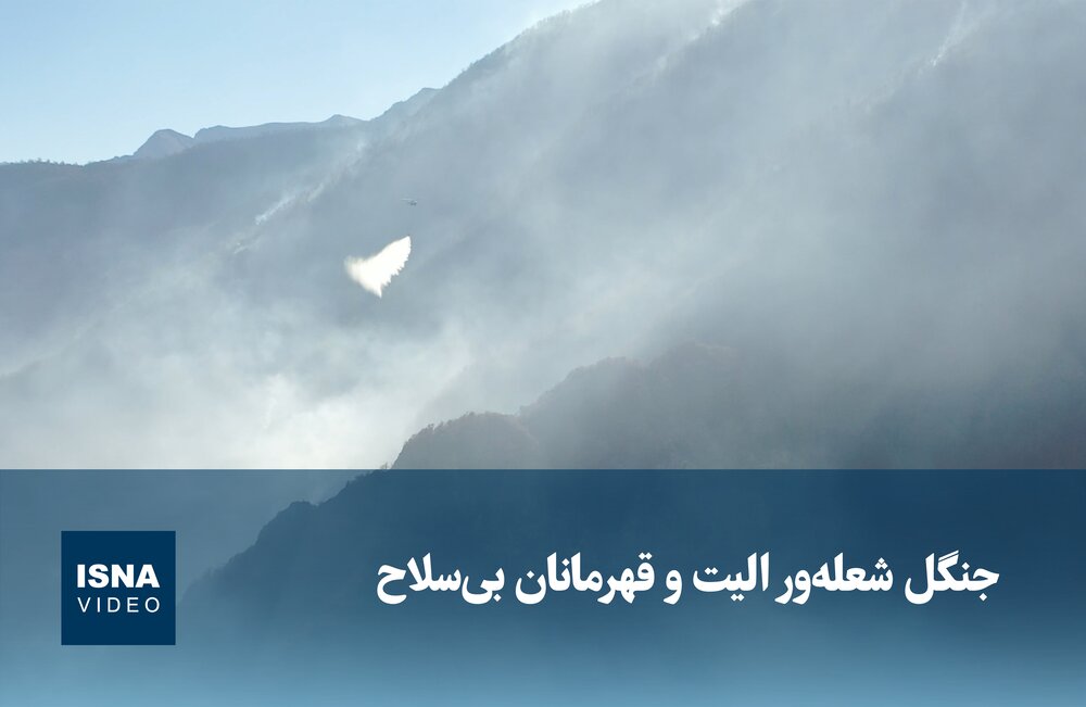 ویدیو/ جنگل الیت و قهرمانان بی‌سلاح