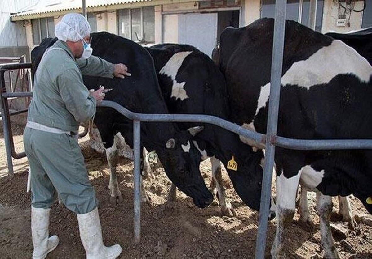 سازمان دامپزشکی هشدار داد؛ ویروس‌ها سالانه جهش می‌کنند
