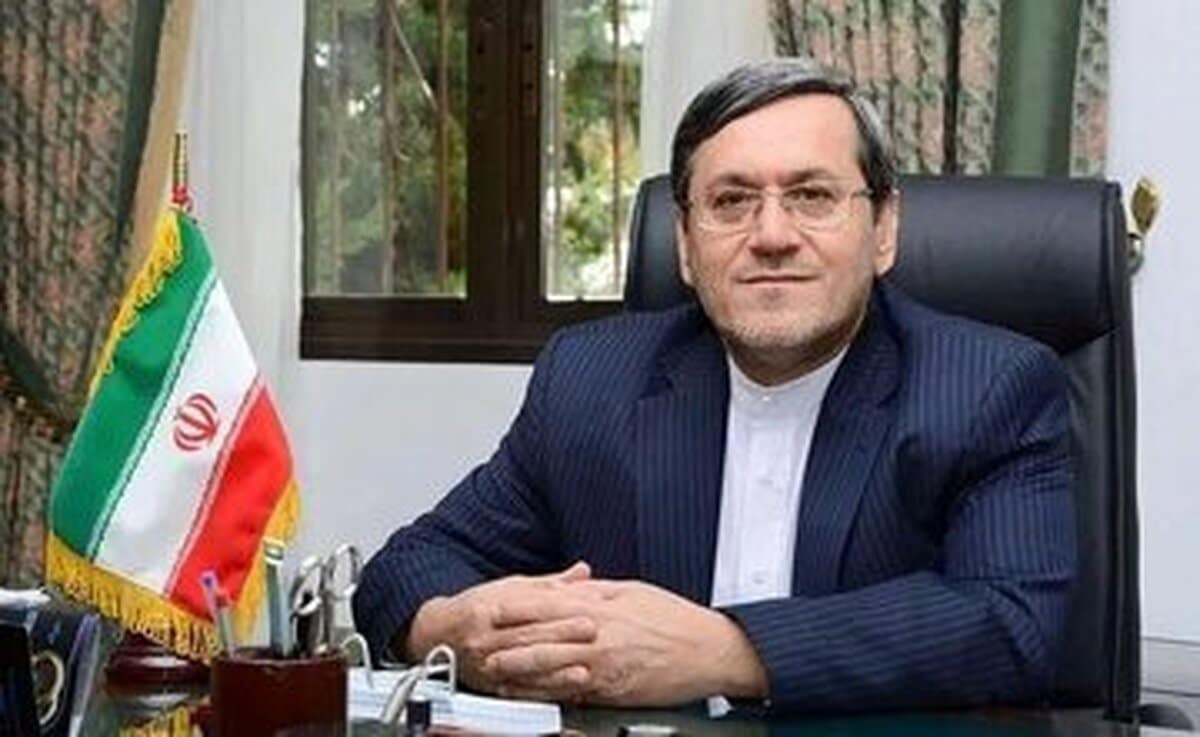 قشقاوی: اکثر کسانی که در اعتراضات به شهادت رسیدند، افراد عادی هستند