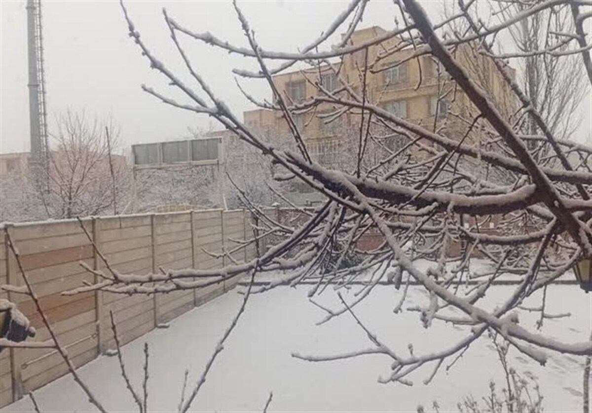 هواشناسی ۱۴۰۴/۱۲/۱۷/ بارش برف و باران در اکثر مناطق ایران