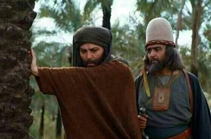 با درآمد فریبرز عرب‌نیا از «مختارنامه» می‌شد چند سکه خرید؟