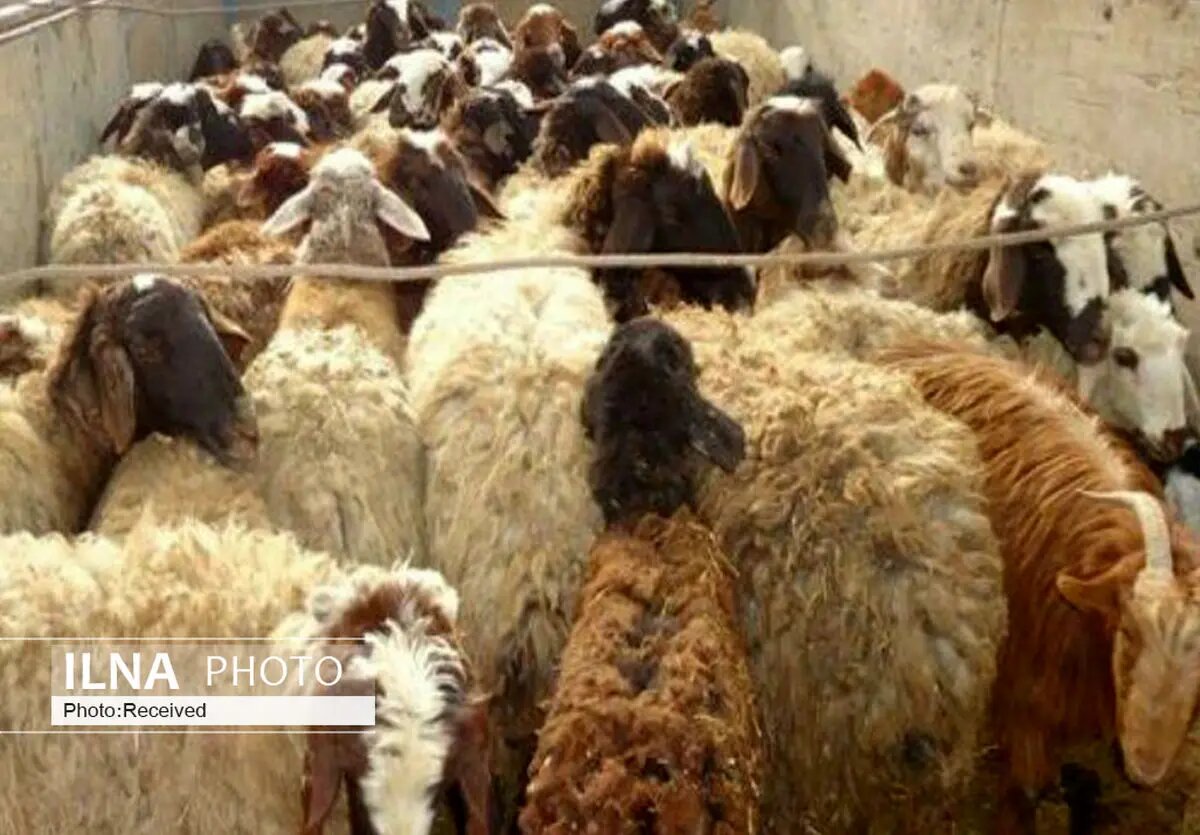 صفحهٔ درخواستی شما یافت نشد.